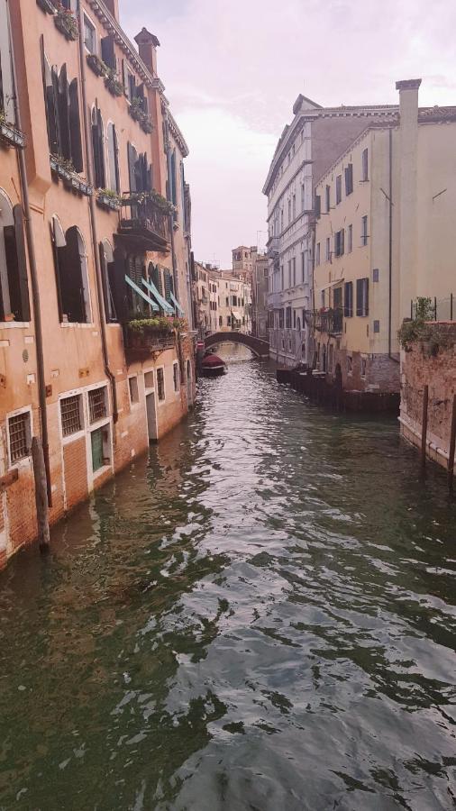 The Secret Garden In The Very Heart Of Venecia
