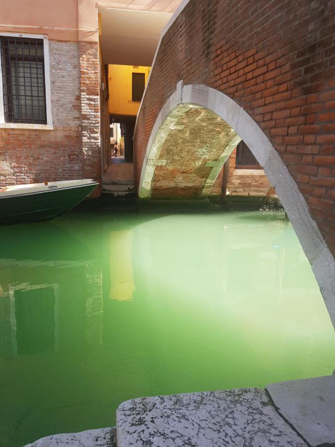 The Secret Garden In The Very Heart Of Apartamento